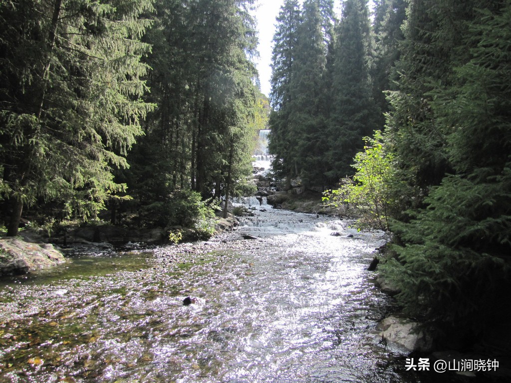 你最想做的事(有没有此生，在内心深处，有个非常想做的事情，让你一直念念不忘)