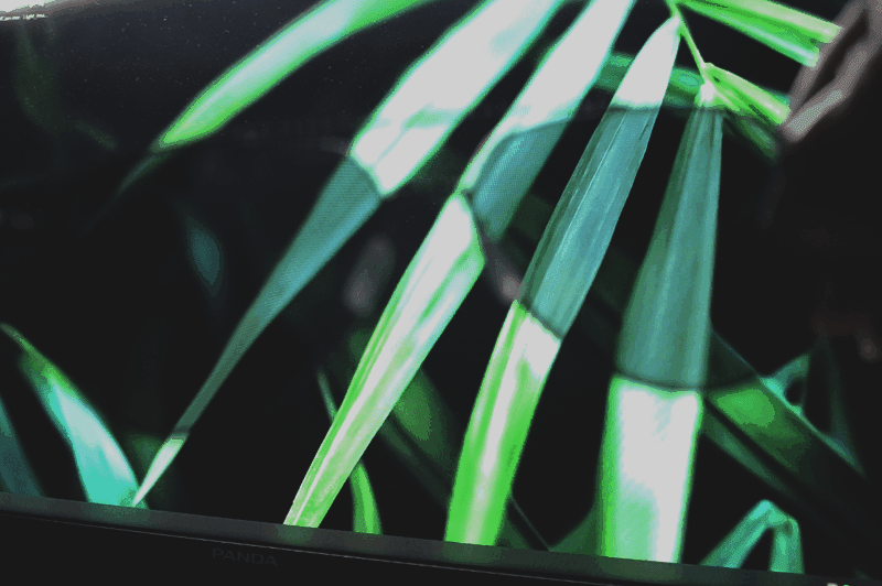 先睹为快的幸运 新品米家偏光太阳镜Pilota