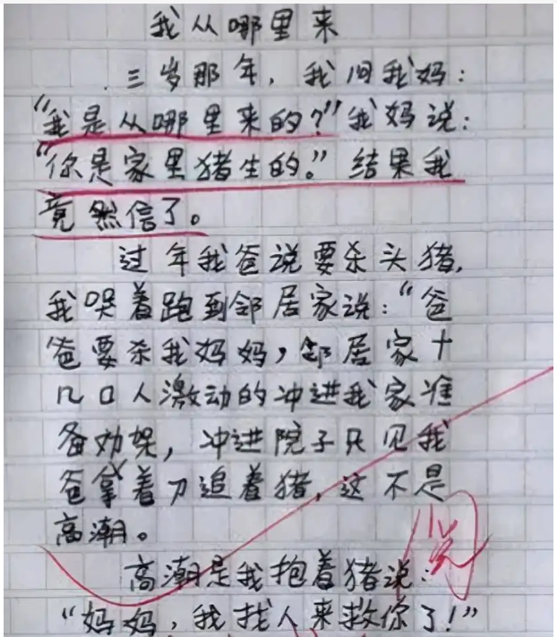 小学生作文《勤劳的妈妈》，小学生不知从何下笔，老师笑出眼泪