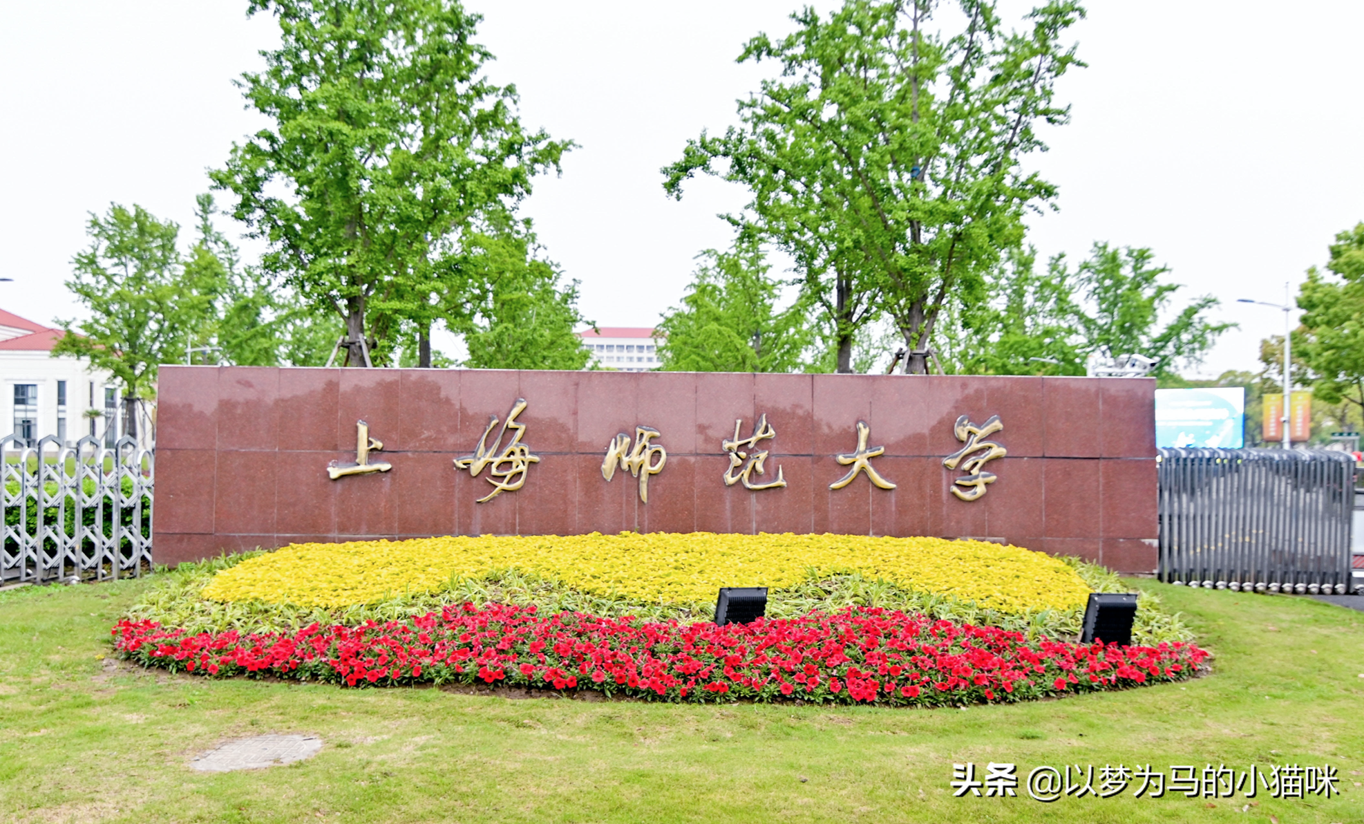 华东师范排名(华东师范大学2020最新排名)-我的快乐小窝