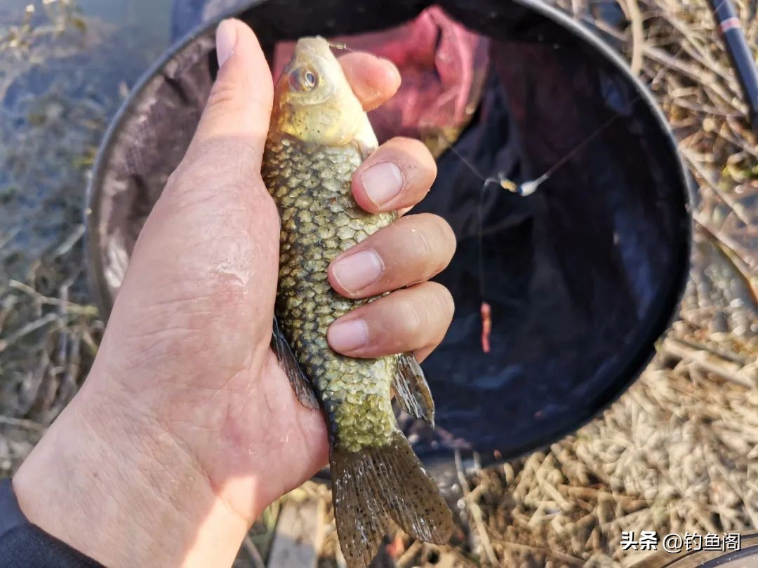 钓鱼的最佳时间是几点到几点（钓鱼的最佳时机）