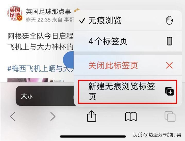 苹果手机无痕浏览怎么设置（苹果手机无痕浏览怎么设置密码）-第3张图片-科灵网