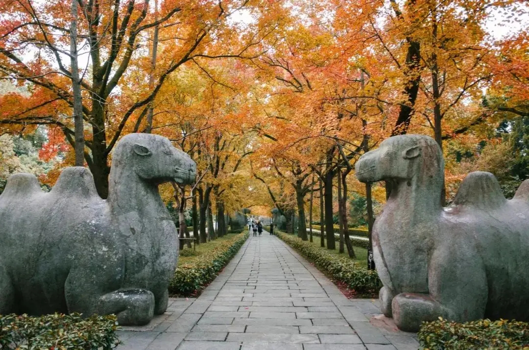 南京十大网红景点，景美独特好玩