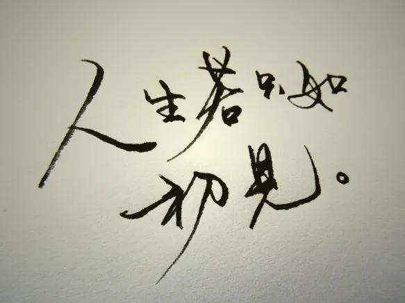 如何理解人生若只如初见 人生若只如初见是什么意思