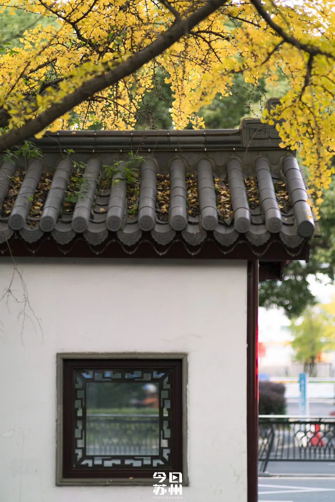 苏州16个绝美赏秋圣地，大部分免费，别错过