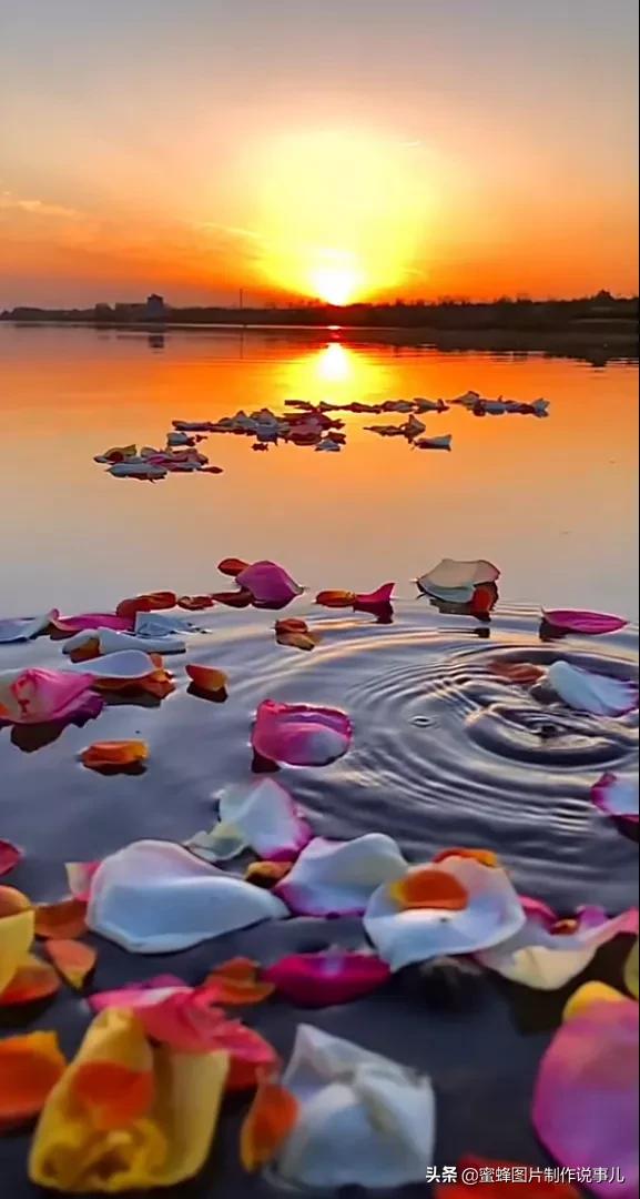 壁纸美图,美的风景为您带来愉快的心情