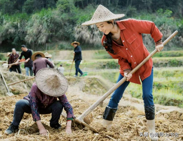 赵丽颖再美下去就毁了