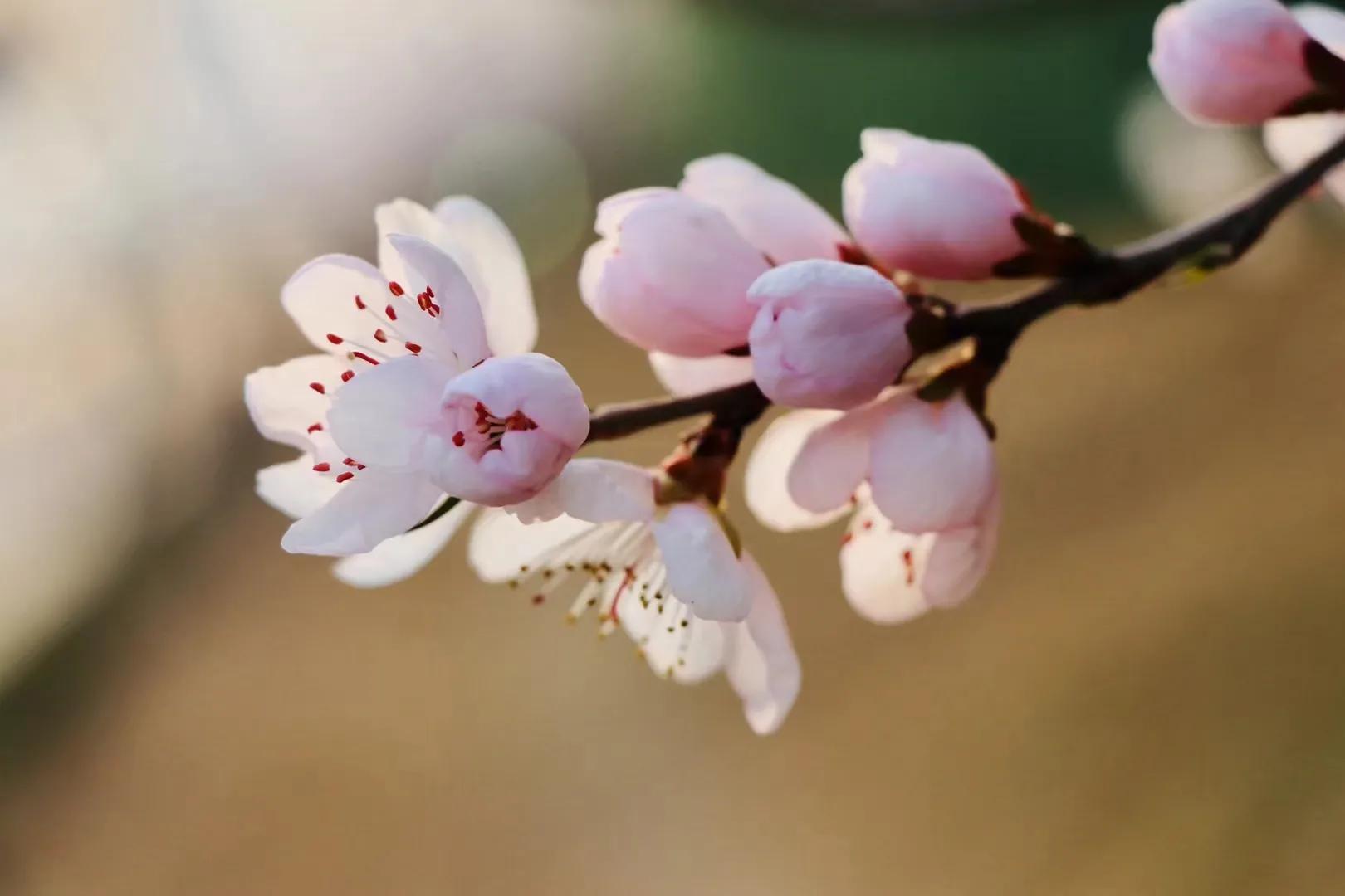 惊险刺激的一天（二）