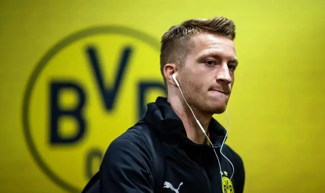 世界杯罗伊斯评价(忠义千秋——罗伊斯)