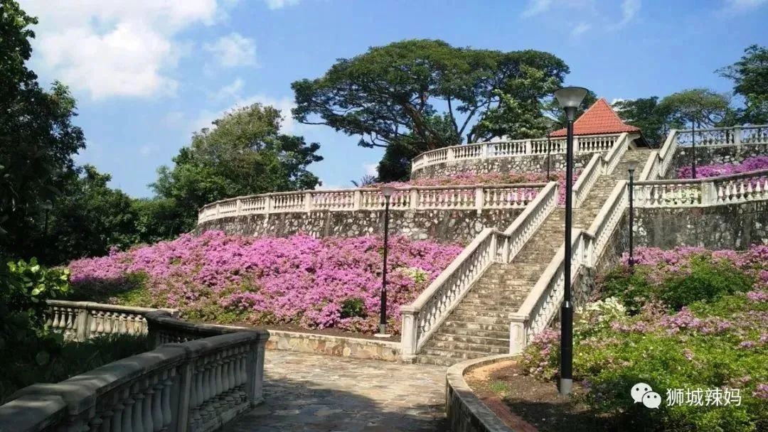 新加坡旅游景点推荐（123个又美又好玩的宝藏景区!）-第103张图片