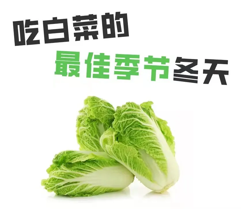 冬来闲话大白菜，满满乡愁悠悠情