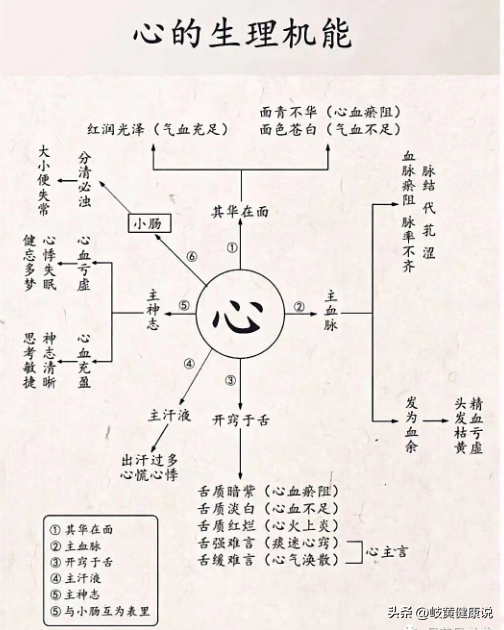 五脏中医知识,不会的朋友收藏好!