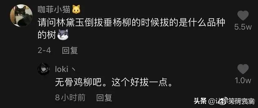 雷公用的是交流电还是直流电？哈哈这波回复给爷笑吐了