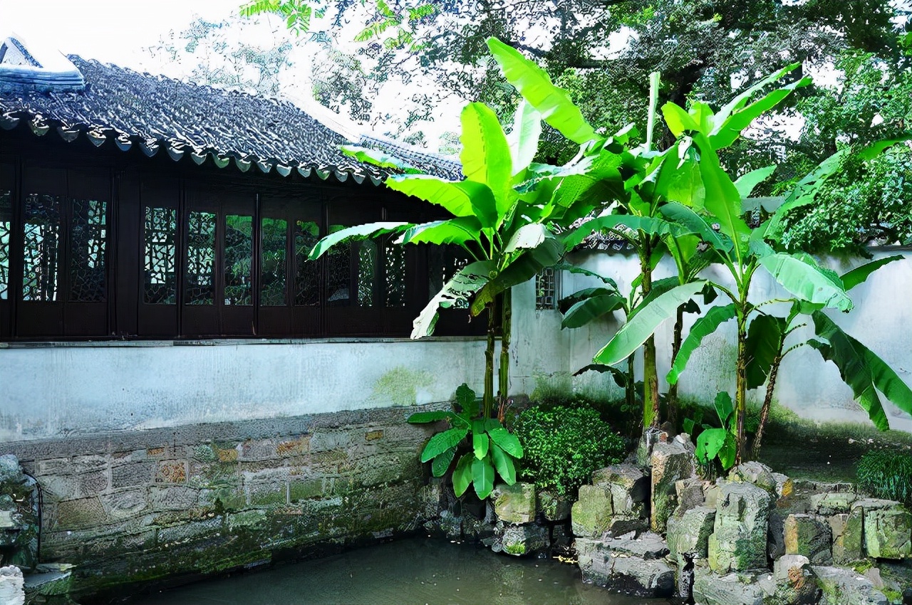 建造庭院都是请了风水大师看过的,他们的院子里都种了柳树,槐树和芭蕉