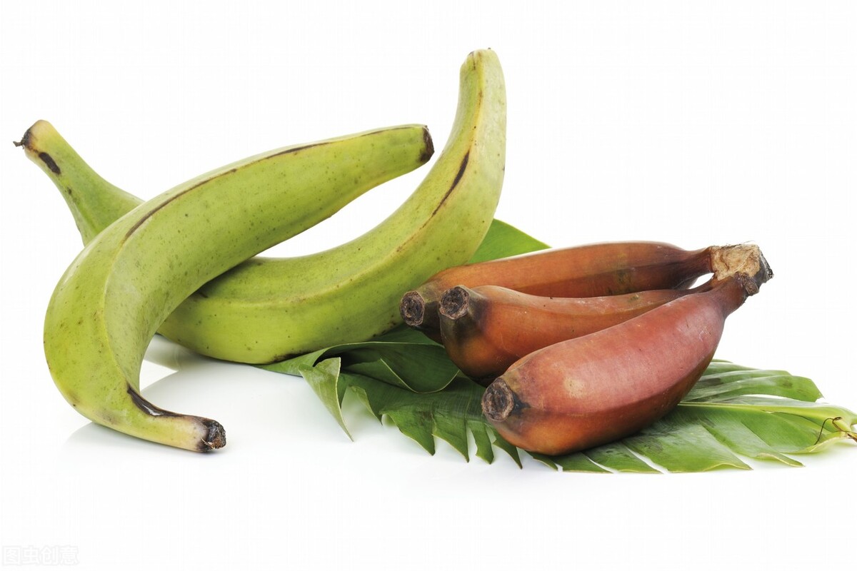 葡萄用英语怎么说 葡萄grape英语怎么读-千百号