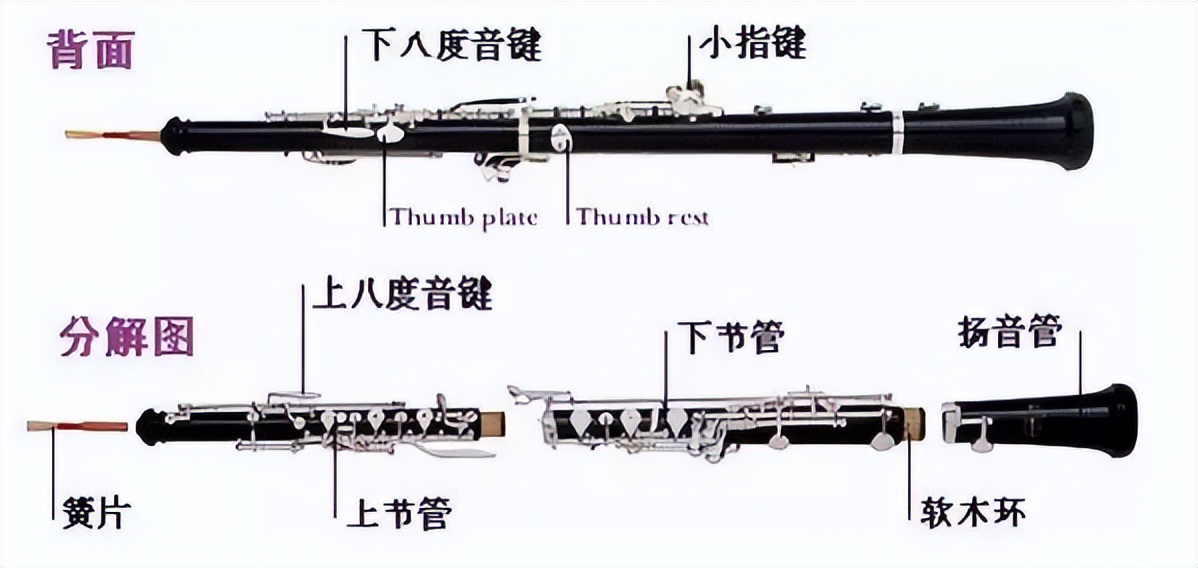 flute是什么乐器-第14张图片-巴山号