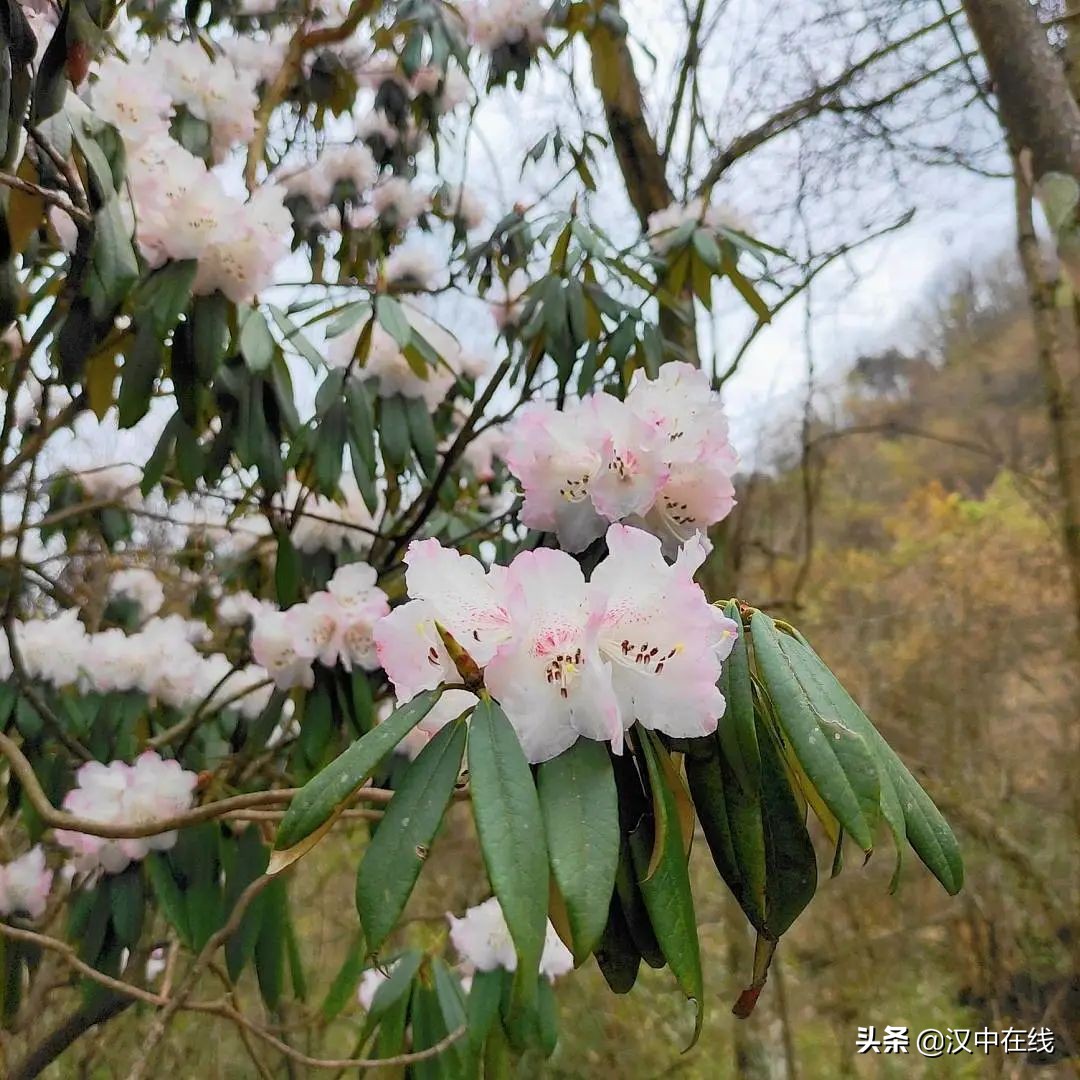 春意盎然，春光無限，不負春光，不負自己