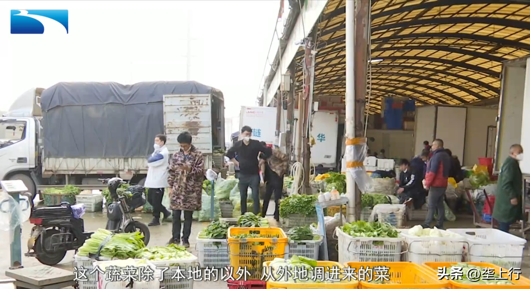 武汉市今日蔬菜价格，北京新发地今日最新蔬菜价