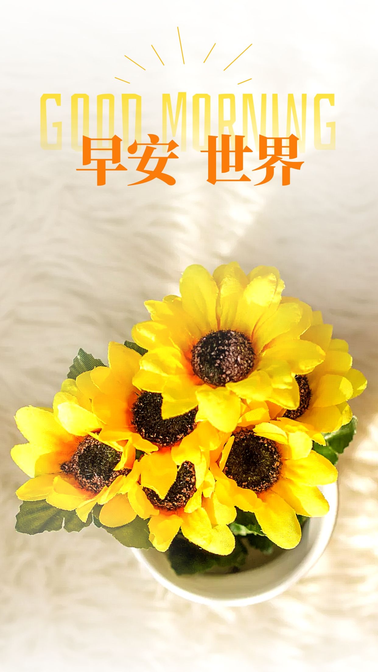 励志阳光的早上好语录图片,心怀梦想,何惧山海