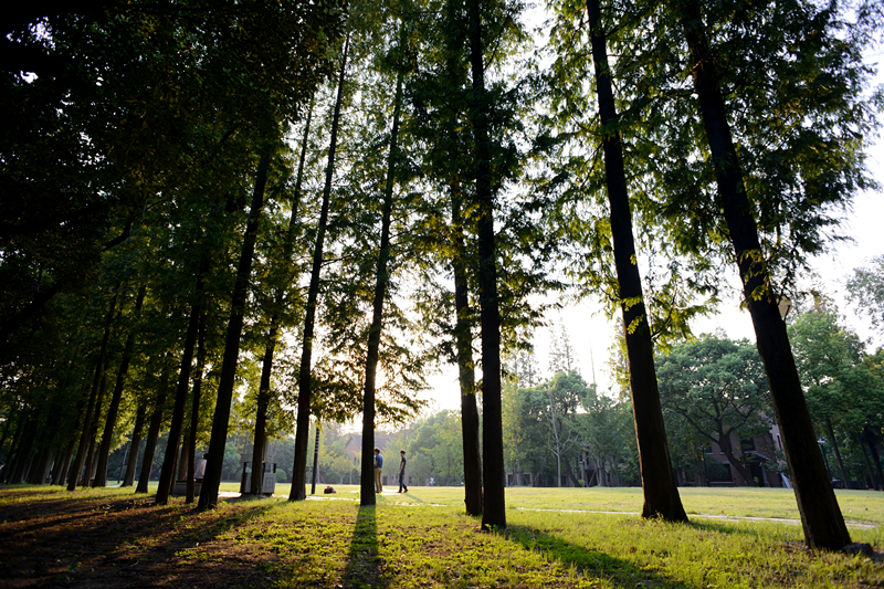 设计专业录取242人，上海理工大学发布2022年艺术类专业招生简章