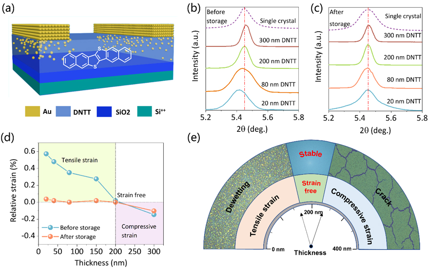 天津大学研制（天津大学李立强课题组）