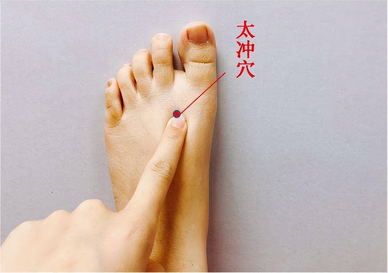 玫子科普:十二经脉,足厥阴肝经——血液中的清道夫