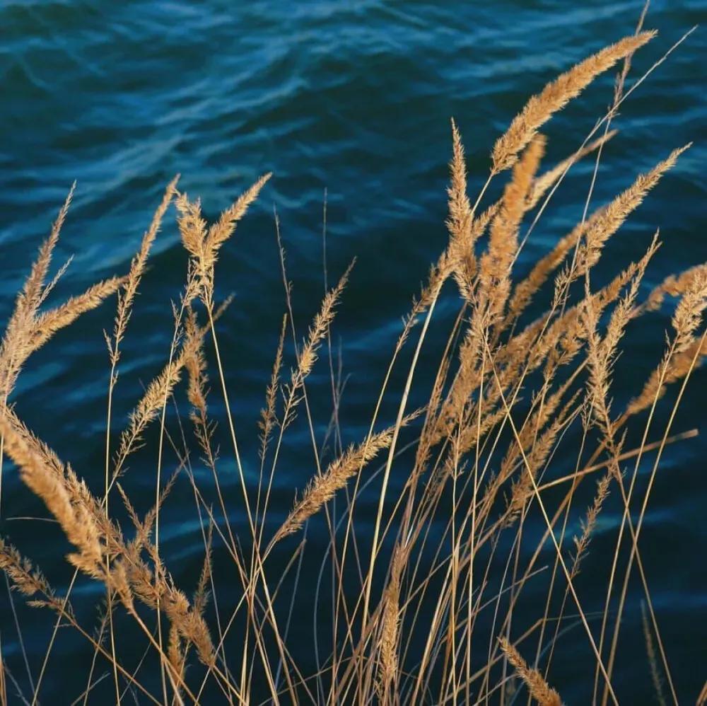 感到累了，停下来，听一听内心的声音