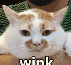 1万多逃不过的选择！这块表的设计就突出一个极简美