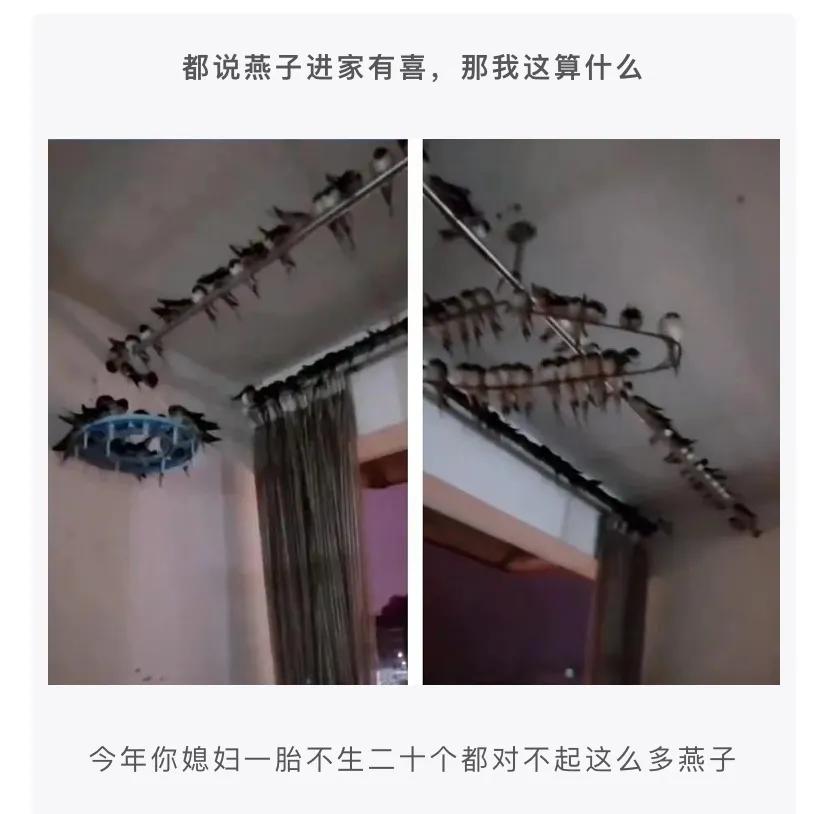 神评段子合集：准备拜访老丈人，提这些礼品过去一定会夸我懂事