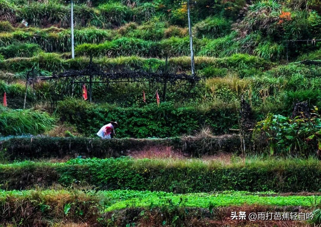 中国唯一被封禁1000年的地方，任何人都不能进入，美到窒息