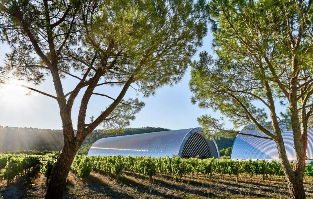 建筑界的木桶酒标大集，普利兹克大师云集的拉寇特酒庄