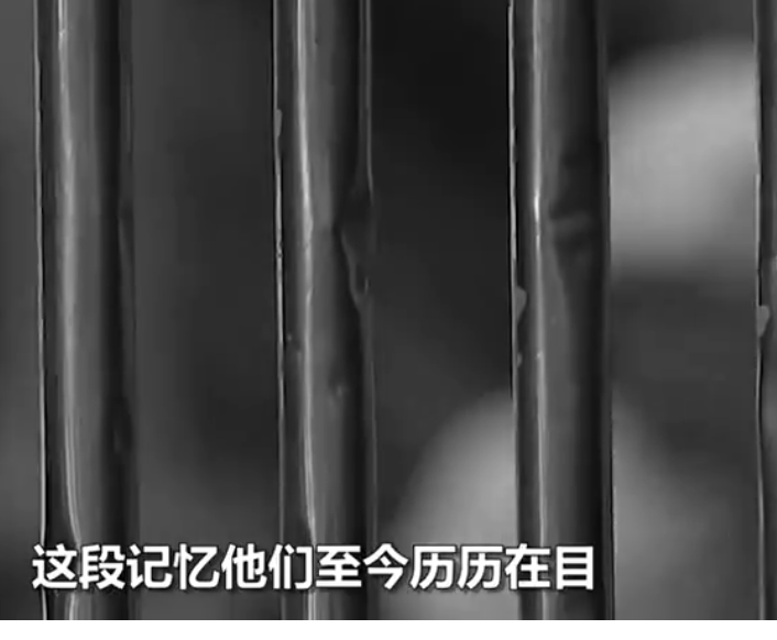 7岁时目睹母亲遇害，被拐的他记下凶嫌模样，18年后跨越千里复仇