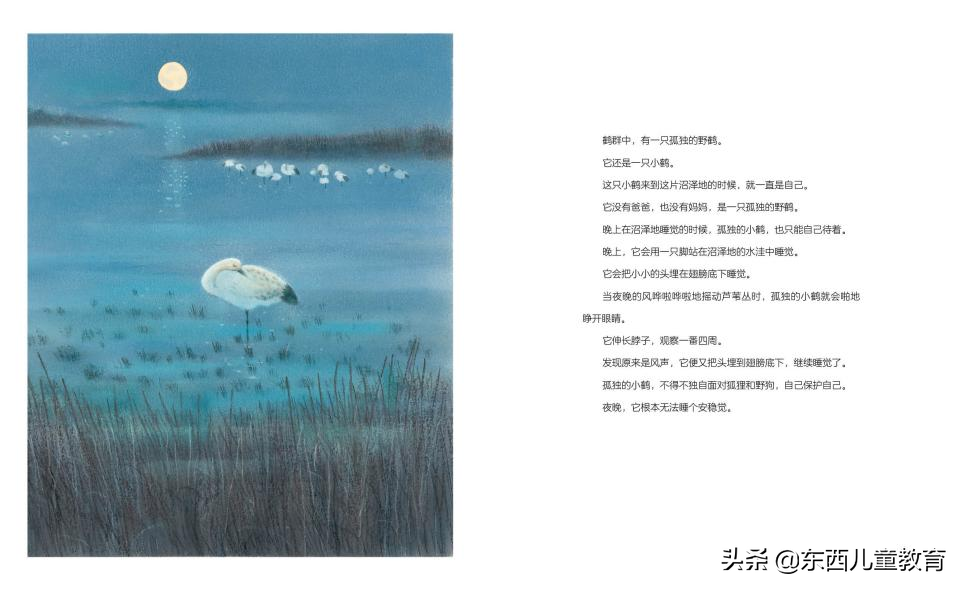 今年圣诞礼物，我没花多少钱，但娃看到一定会尖叫