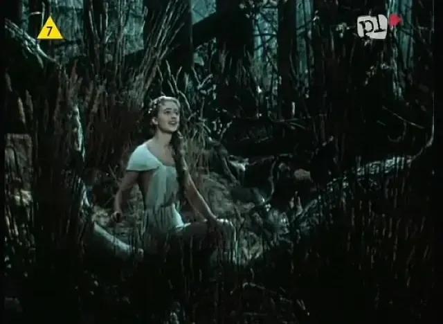 世界电影（0130）波兰电影《华沙美人鱼》（1956）剧照欣赏