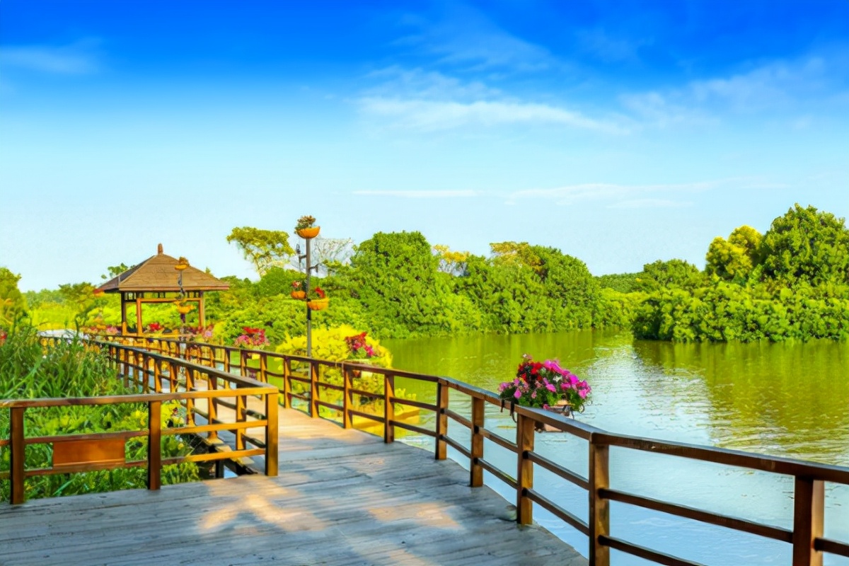 发现海南好风景 营造旅居生活好氛围