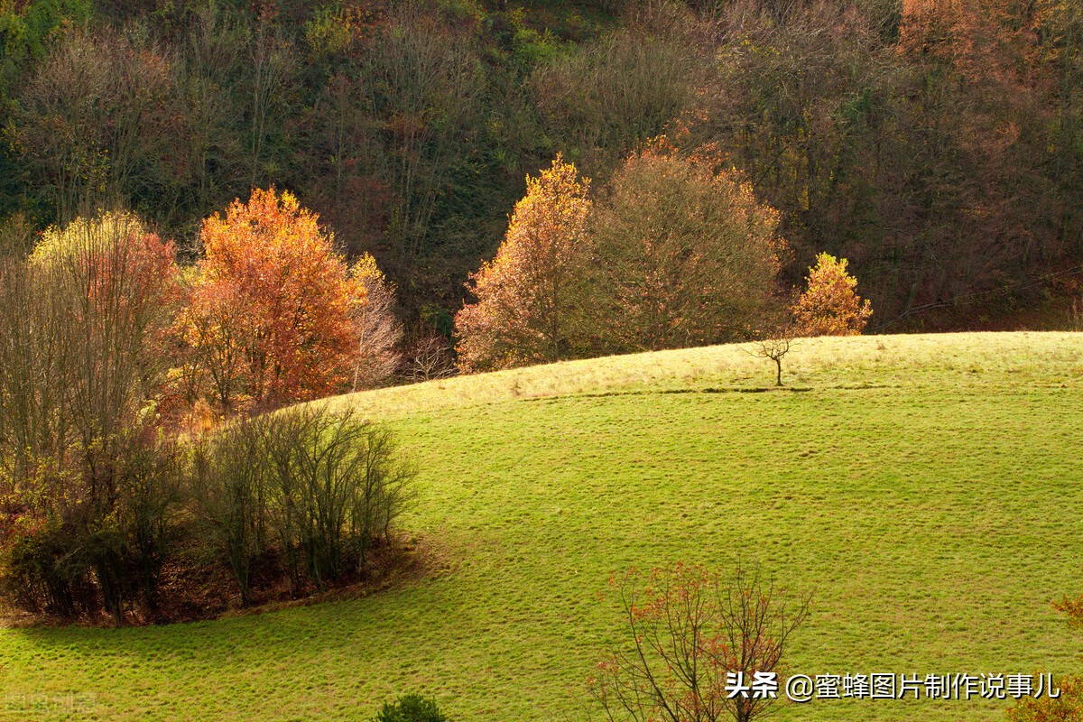 大自然美景，如诗如画，美不胜收