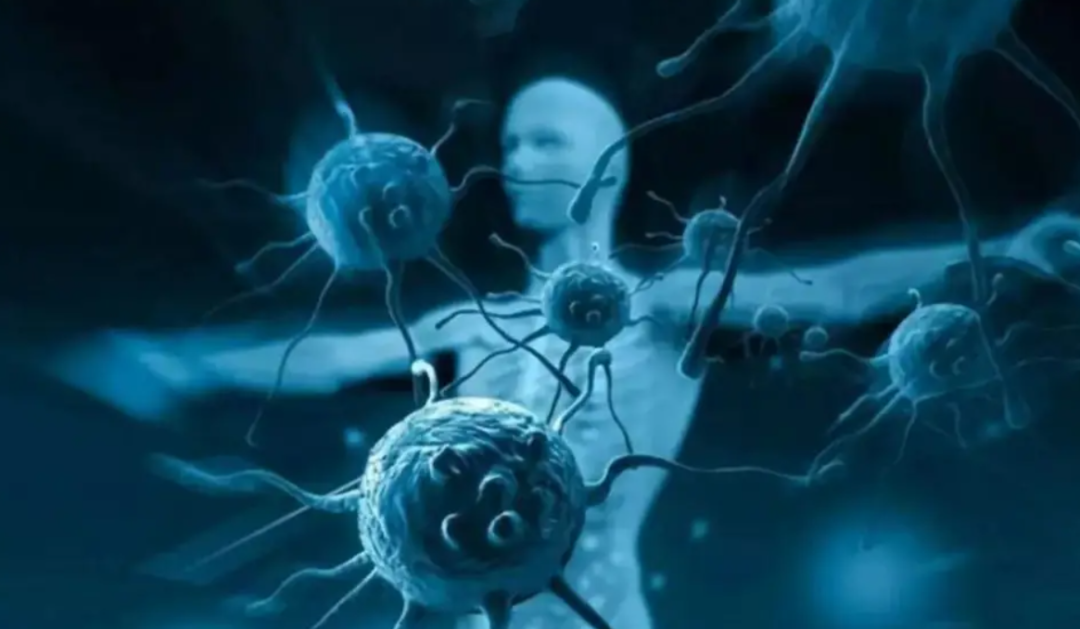 ��Ϊ���˵İ��أ������������17��Ⱦɫ���У��ܷ�򿪻�������