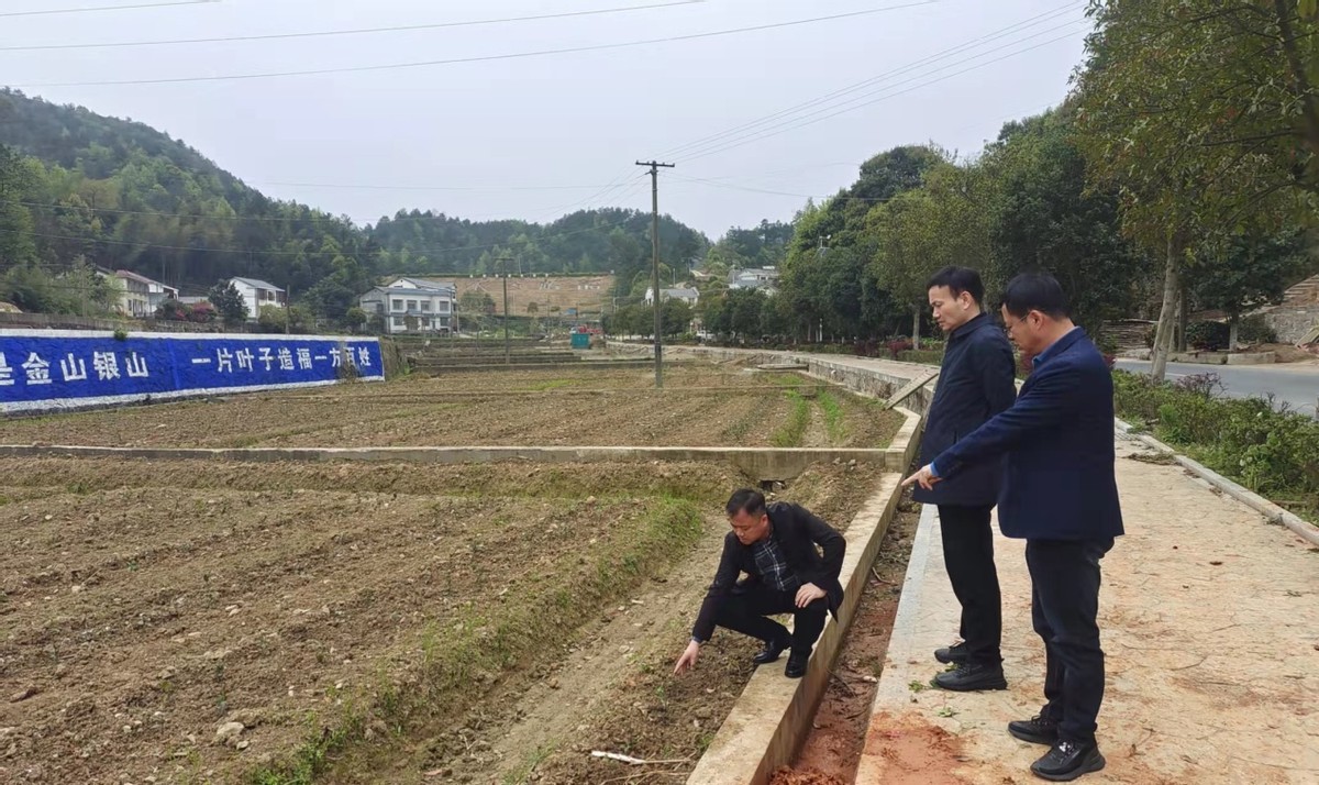 强化三大保障打通三大市场全力做好“韶山红”茶产业市场营销文章