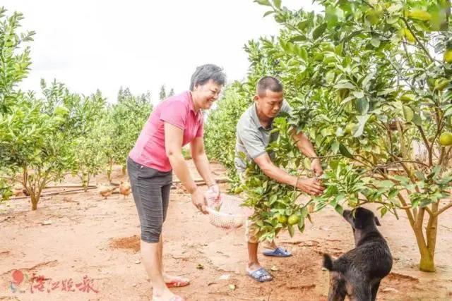 全红婵家境贫寒母亲还患病，当初为何不收私企赠予的房产和商铺？