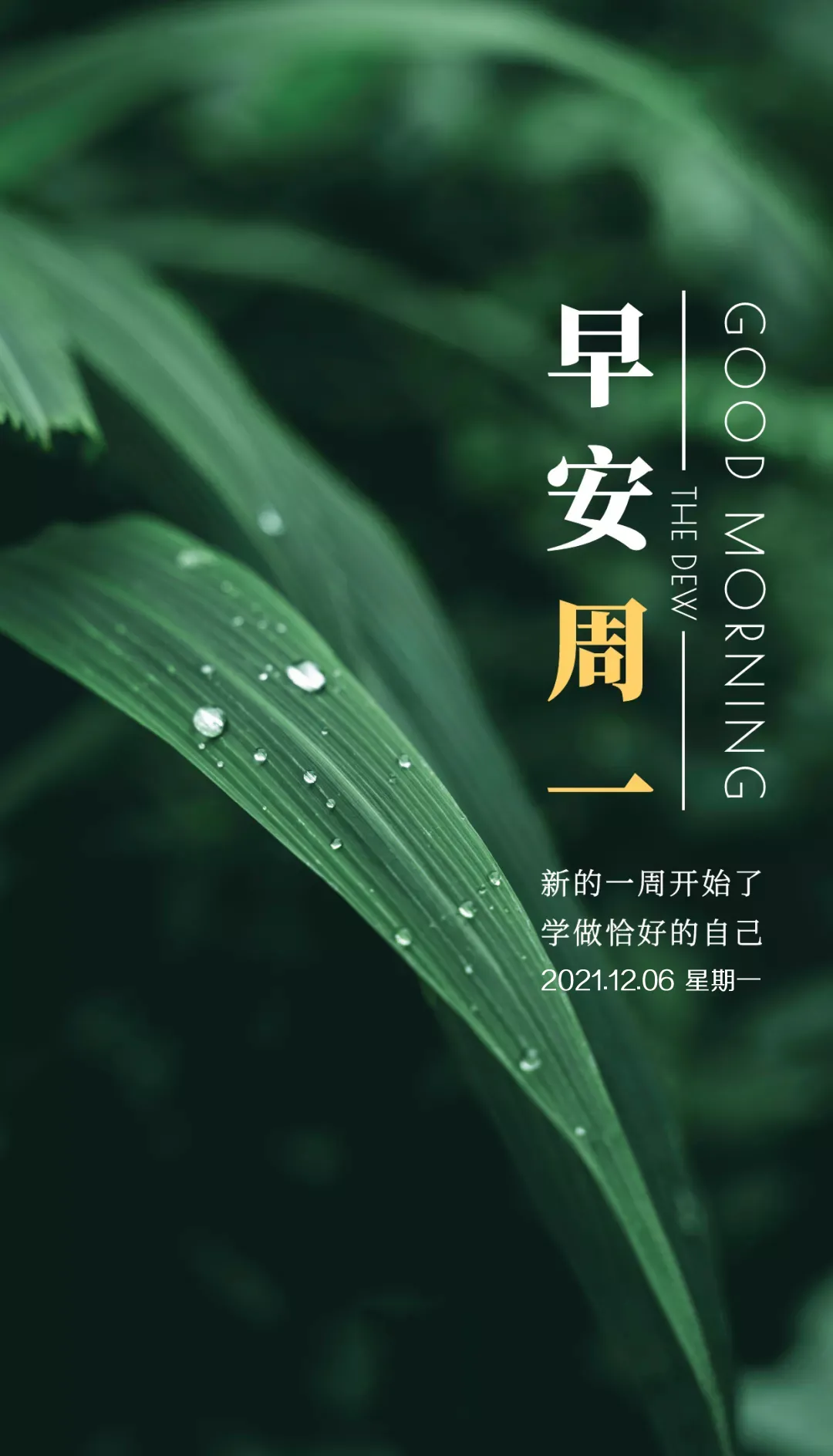 「2021.12.06」早安心语,正能量语录句子,美好的一天早上好图片