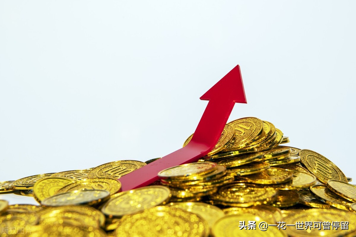 深圳代办公司注册（在深圳注册公司）