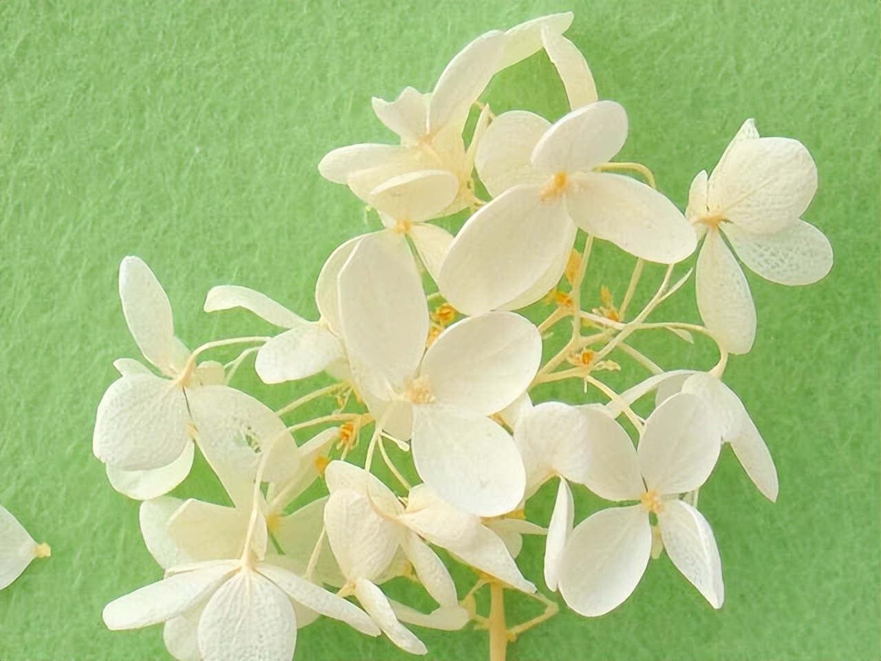 大学生恋爱心理问题（水瓶座在恋爱中的四个小心思）