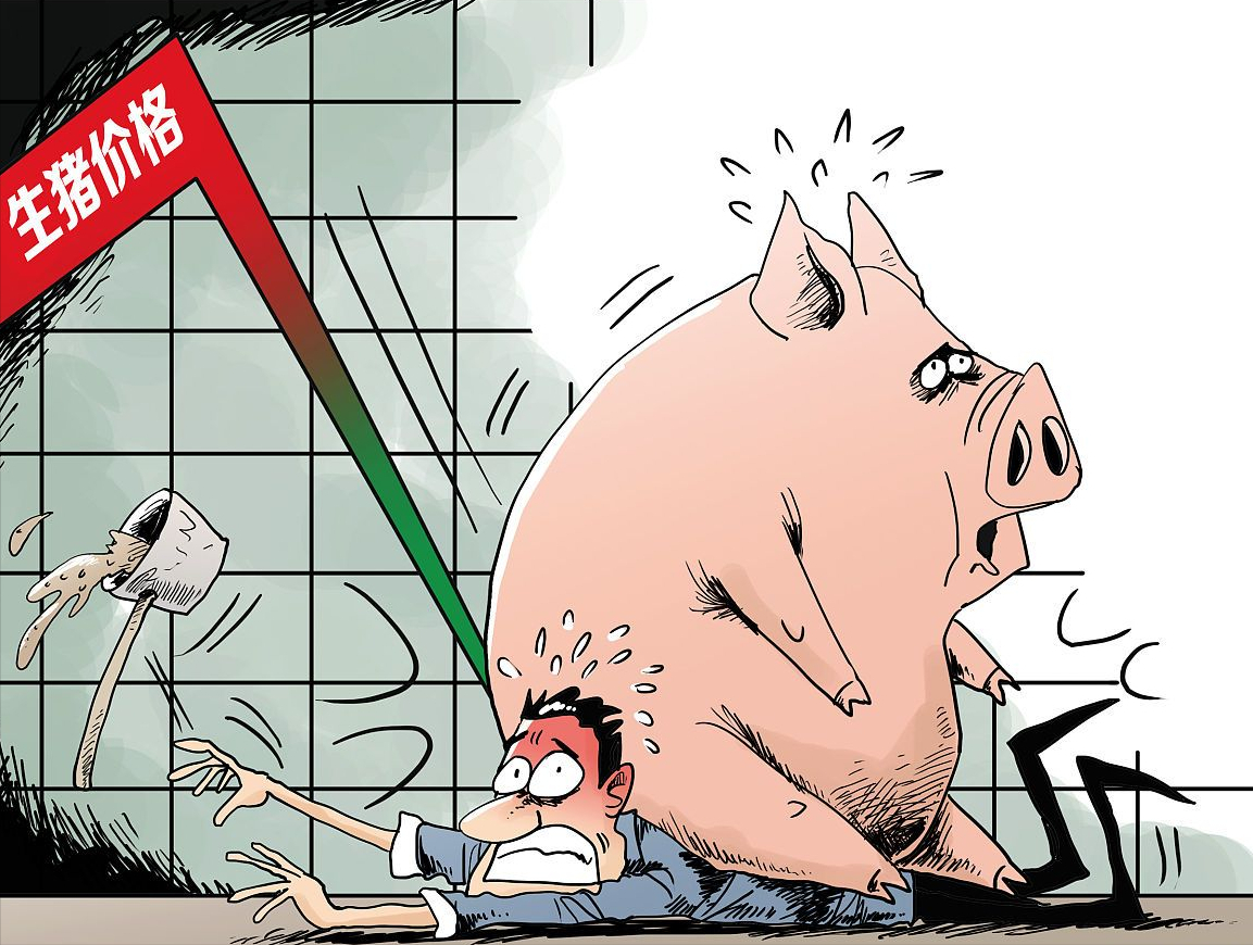今日北京猪价一斤多少「北京猪排骨价格今日价一斤」
