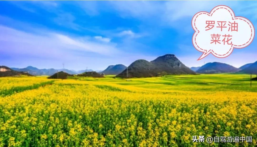 云南最值得去的十大旅游景点(云南最美十大风景区)
