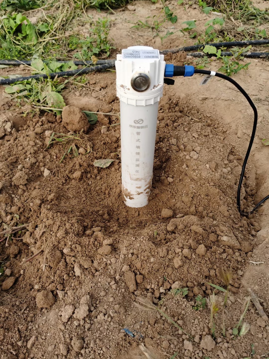 土壤墒情监测设备在果园中的应用