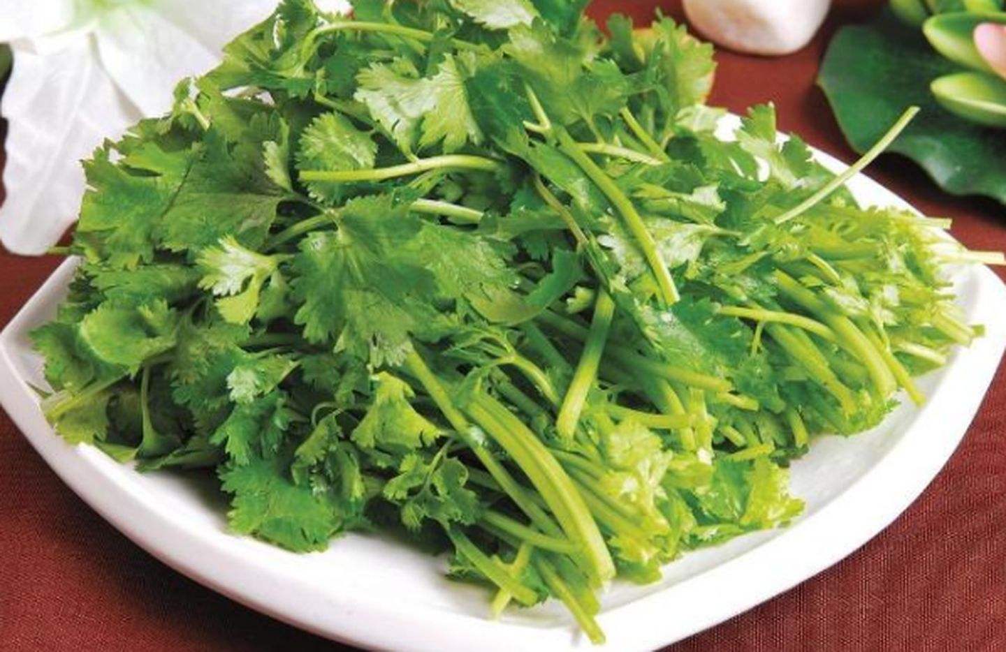 牛肋条怎么做好吃（色味俱佳的蜜汁烤牛肋条教程）