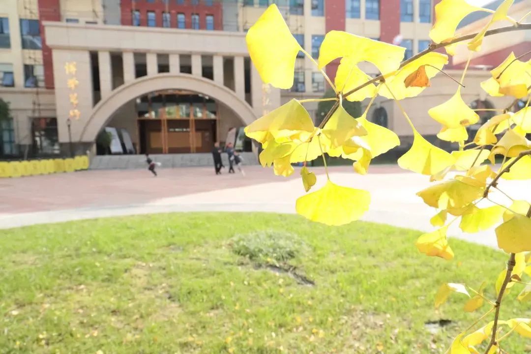 彭州市博骏学校2022年小学、初中部招生简章