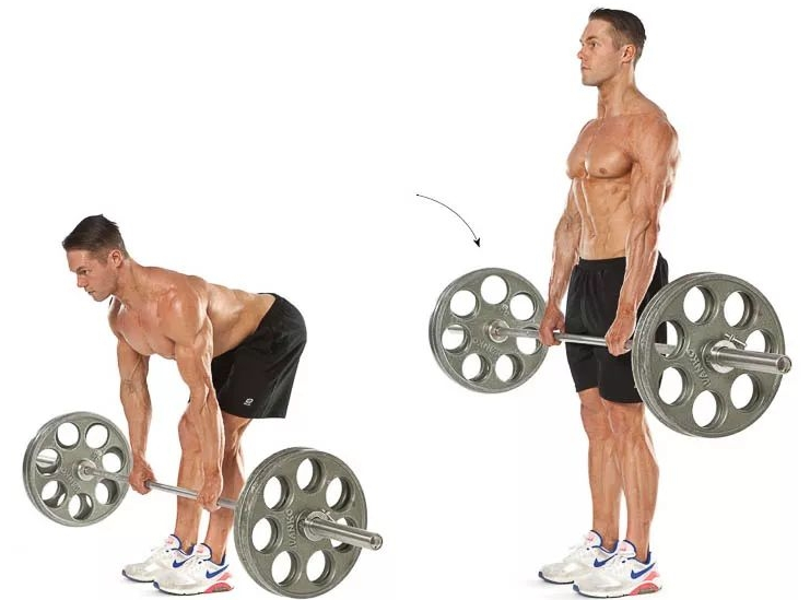 背部训练的黄金动作（五个最有效最简单的背部动作，助你打造宽背）