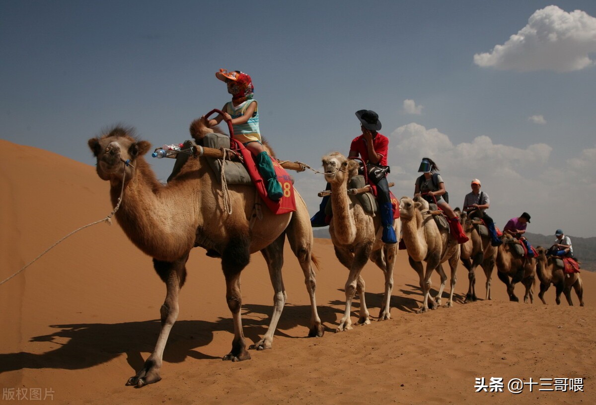 国足全影能进世界杯吗(中国男足对越南的比赛，远不及几十年前对科威特的那场戏剧反转)