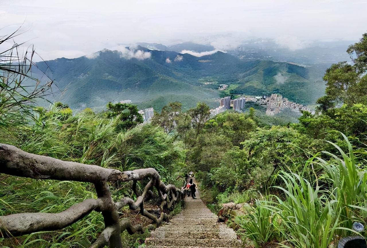 广东一定要去的景区，以稀、秀、幽、为特征，门票免费